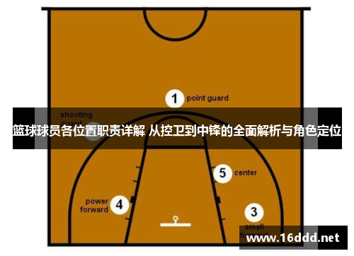 篮球球员各位置职责详解 从控卫到中锋的全面解析与角色定位
