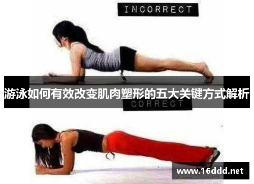 游泳如何有效改变肌肉塑形的五大关键方式解析