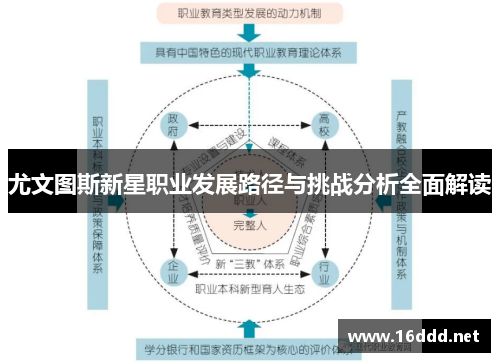 尤文图斯新星职业发展路径与挑战分析全面解读