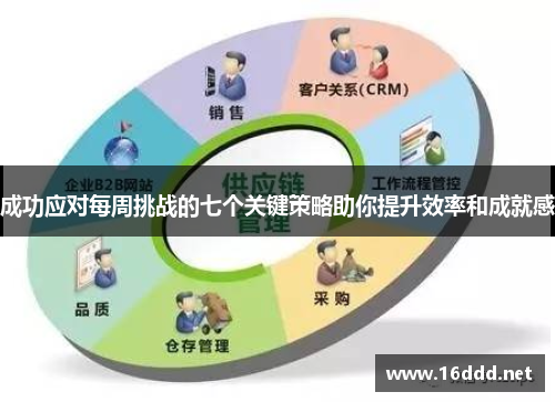 成功应对每周挑战的七个关键策略助你提升效率和成就感